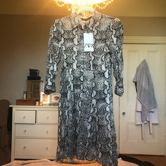 NWT Zara Snakeprint Shirt Dress - Size XS - Picture 6 of 9